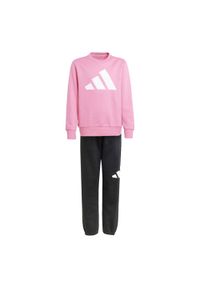 Adidas - Dres Essentials Jogger Rozmiar 15-16 L Różowy - JD2096. Okazja: na uczelnię. Kolor: różowy. Materiał: dresówka. Styl: młodzieżowy #1