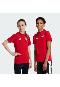 Adidas - Koszulka Arsenal Kids. Kolor: czerwony. Sport: piłka nożna