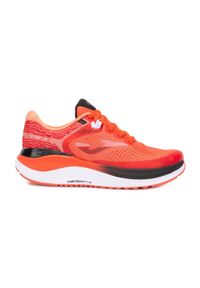 Buty do biegania męskie Joma Shock. Kolor: brązowy. Sport: bieganie