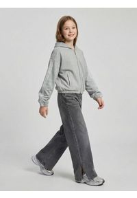 Sinsay - Jeansy wide leg z efektem sprania - szary. Kolor: szary #1