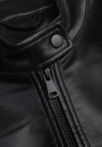 Born2be - Czarna Klasyczna Kurtka Ramoneska o Dopasowanym Kroju ze Stójką Leamariel. Okazja: na co dzień. Typ kołnierza: kołnierzyk stójkowy. Kolor: czarny. Materiał: jeans, skóra, poliester. Styl: klasyczny #8