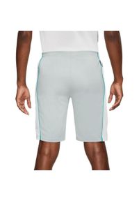 Nike - Męskie Spodenki Academy 18 DriFIT. Kolor: biały, wielokolorowy, szary
