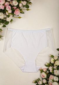 Renee - Białe Majtki z Wysokim Stanem Ozdobione Koronką Chesen. Stan: podwyższony. Kolekcja: plus size. Kolor: biały. Materiał: koronka. Wzór: koronka, aplikacja