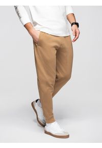 Ombre Clothing - Spodnie męskie dresowe ze ściągaczem przy nogawce BASIC jogger - brązowe V2 - Rozmiar: XXL. Okazja: na spacer, na co dzień, do domu. Kolor: brązowy. Materiał: dresówka. Wzór: jednolity, gładki, aplikacja. Styl: casual