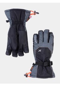 EXTREMITIES - Rękawice zimowe Extremities Torres Peak Glove. Kolor: szary. Sezon: zima