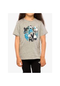 Fjällräven - Koszulka bawełniana dziecięca Fjallraven Kids Forest Findings T-shirt. Kolor: szary. Materiał: bawełna