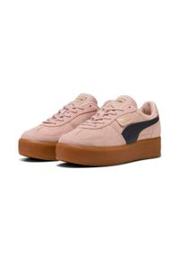 Buty sportowe damskie Puma PALERMO ELEVATA. Kolor: różowy. Sport: turystyka piesza