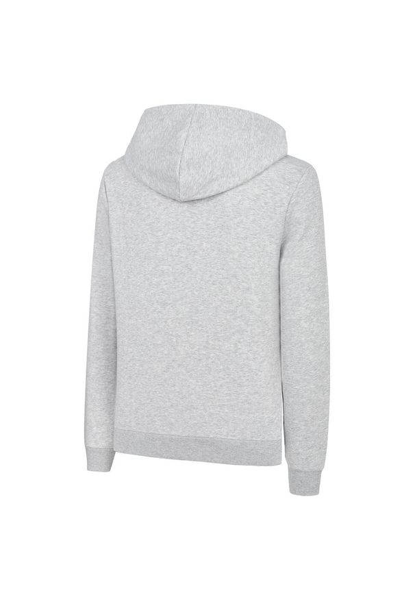 Puma Bluza Ess Fl 84719703. Kolor: wielokolorowy, czarny, szary