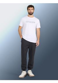 4f - 4F Spodnie dresowe joggery męskie - szare M. Kolor: szary. Materiał: dresówka. Wzór: gładki. Sport: fitness #1