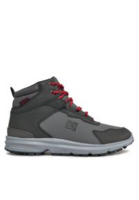 Trzewiki DC Shoes. Kolor: szary