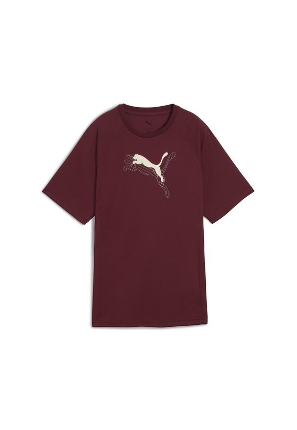 Puma - Damska koszulka Evostripe o luźnym kroju z grafiką PUMA Ruby Shimmer Red. Kolor: czerwony. Sport: fitness