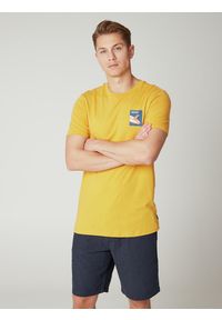 T-shirt męski Protest PRTOALO. Kolor: żółty