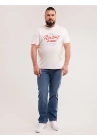 Big-Star - Koszulka męska z nadrukiem biała Jaman 100. Okazja: na co dzień. Kolor: biały. Materiał: jeans, bawełna. Wzór: nadruk. Sezon: lato. Styl: casual, klasyczny, retro #5