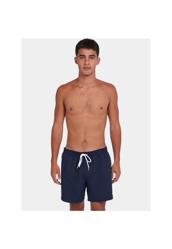 Szorty plażowe męskie O'Neill 15" Swim. Kolor: niebieski