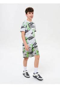 Sinsay - Bawełniane szorty loose fit Minecraft - szary. Kolor: szary. Materiał: bawełna #1