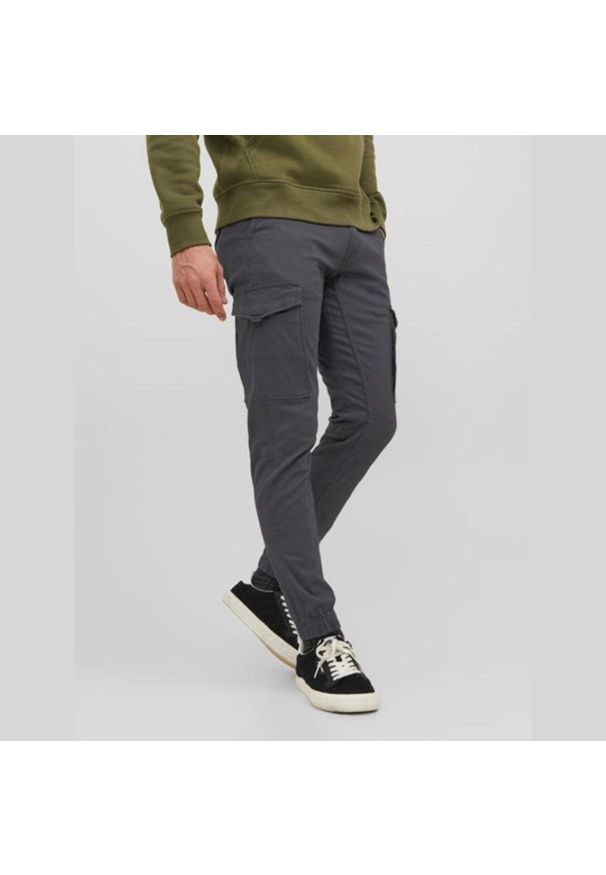 Spodnie Jack & Jones Paul Flake Cargo asfaltowe. Kolor: wielokolorowy. Sport: skateboard