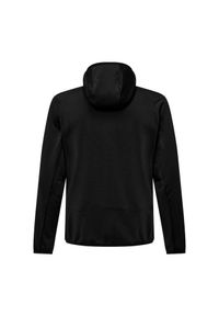 Salewa - Bluza trekkingowa męska Puez Altavia PL HD. Typ kołnierza: kaptur. Kolor: czarny. Materiał: materiał