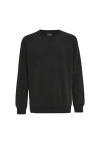 Bluza dziecięca Hummel Red Classic. Kolor: czarny. Sport: joga i pilates #1