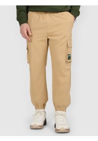 4f - 4F Spodnie casual cargo męskie - beżowe XS. Okazja: na co dzień. Kolor: beżowy. Styl: casual #2