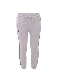 Kappa - Spodnie Do Biegania Dla Dzieci Ireneus. Kolor: szary. Sezon: lato. Sport: turystyka piesza #1
