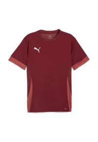 Koszulka Puma TeamGoal. Kolor: czerwony. Sport: piłka nożna