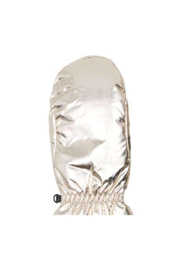 Rękawice narciarskie damskie Protest Myto. Kolor: szary. Sezon: zima. Sport: narciarstwo