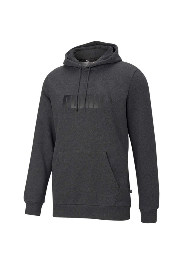 Bluza z kapturem Puma Essentials Big Logo, Mężczyźni. Typ kołnierza: kaptur. Kolor: szary. Materiał: bawełna, materiał