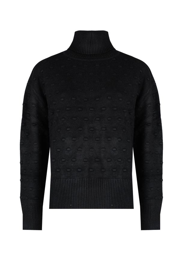 Silvian Heach Sweter | PGA22130LU | Kobieta | Czarny. Typ kołnierza: golf. Kolor: czarny. Materiał: wiskoza, poliester, nylon. Wzór: aplikacja