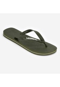 Japonki męskie Havaianas Logo Filet. Okazja: na plażę, na co dzień. Kolor: zielony. Materiał: kauczuk, syntetyk. Sezon: lato. Styl: casual