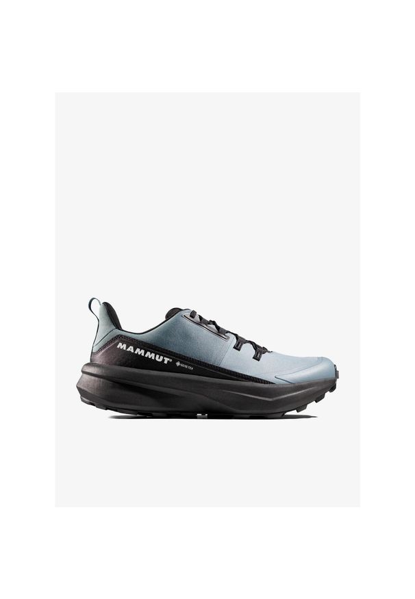 Buty turystyczne niskie Mammut Aenergy Hike Low GTX. Kolor: niebieski