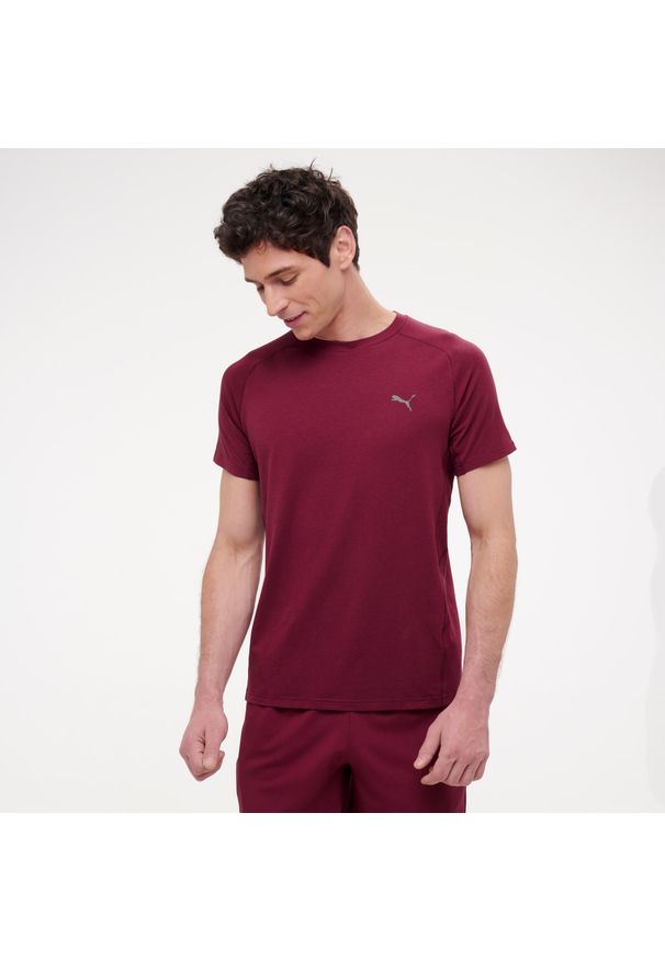 Decathlon - Koszulka z krótkim rękawem męska Puma Active Gym & Pilates. Kolor: czerwony. Materiał: materiał, bawełna. Długość rękawa: krótki rękaw. Długość: krótkie. Sport: joga i pilates