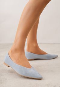 Born2be - Niebieskie Balerinki z Imitacji Zamszu z Noskiem w Szpic Egynome. Okazja: na co dzień, na spotkanie biznesowe, do pracy. Kolor: niebieski. Materiał: zamsz. Styl: casual, biznesowy, elegancki #6