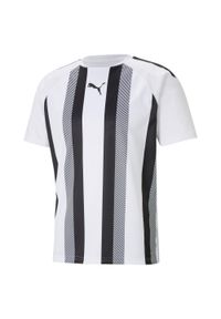 Koszulka Puma Team Liga Striped. Kolor: czarny, wielokolorowy, biały. Sport: piłka nożna #1