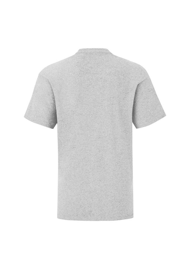 FRUIT OF THE LOOM - Koszulka Dziecięca Iconic Heather. Kolor: szary