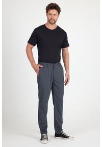 WOOLONA - Spodnie Chino Męskie Merino - Smart & Flex. Kolor: szary. Sport: turystyka piesza