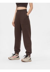 4f - Spodnie dresowe joggery z szerokimi nogawkami damskie. Kolor: brązowy. Materiał: dresówka