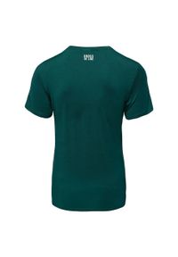 IQ - T-shirt Męski Iris. Kolor: zielony. Sport: turystyka piesza