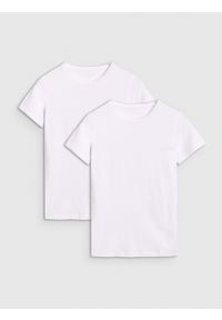 4f - T-shirt slim gładki damski (2-pack) - multikolor. Okazja: na co dzień. Kolor: wielokolorowy. Materiał: bawełna, jersey, dzianina. Długość rękawa: krótki rękaw. Długość: krótkie. Wzór: gładki. Styl: sportowy, casual, klasyczny