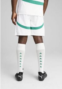 Puma - Męskie szorty Senegal 2025 PUMA White Sport Green. Kolor: biały, zielony, wielokolorowy. Wzór: aplikacja