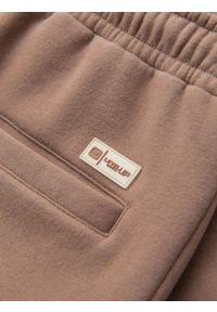 Ombre Clothing - Dresowe szorty unisex ze ściągaczem w pasie – brązowe V16 - Rozmiar: M/L. Kolor: brązowy. Materiał: dresówka. Wzór: aplikacja. Styl: sportowy #9