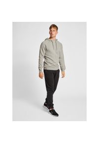 Hummel - Bluza Hmlred Classic Hoodie. Kolor: szary #1