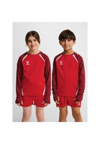 Dziecięcy dżersej z długim rękawem Hummel Lead 2.0. Kolor: wielokolorowy, czerwony, różowy, brązowy. Materiał: jersey. Długość rękawa: długi rękaw. Długość: długie #1