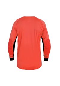 Joma - Męska Koszulka Bramkarska Protect Z Długim Rękawem. Kolor: pomarańczowy. Długość rękawa: długi rękaw. Długość: długie. Sport: turystyka piesza