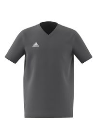 Adidas - Koszulka dla dzieci adidas Entrada 22 Tee. Kolor: szary