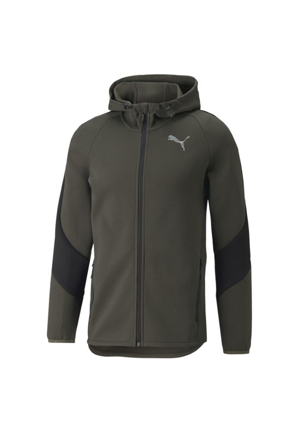 Bluza dresowa męska Puma EVOSTRIPE. Kolor: zielony. Materiał: dresówka. Sport: fitness
