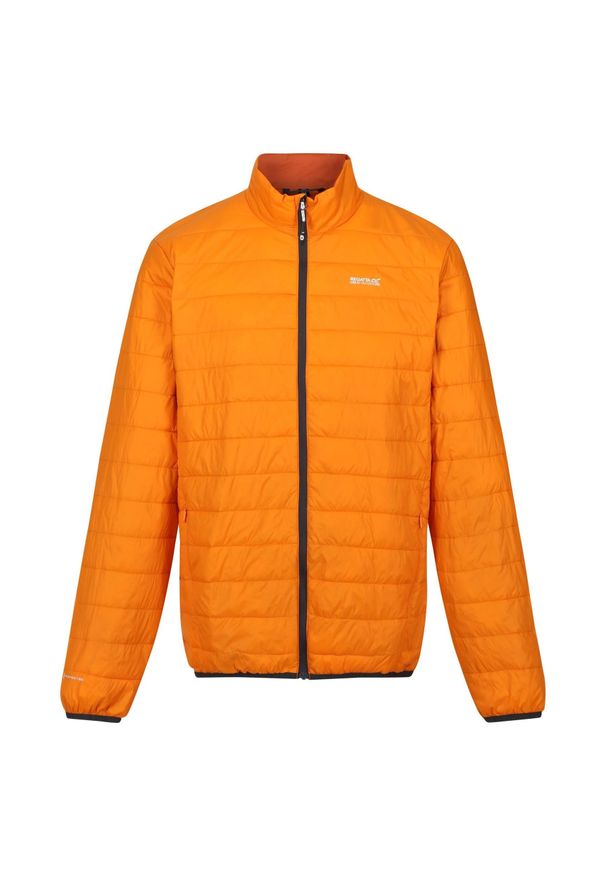 Regatta - Kurtka turystyczna przejściowa męska Hillpack pikowana. Kolor: pomarańczowy. Materiał: puch, poliamid. Sport: turystyka piesza