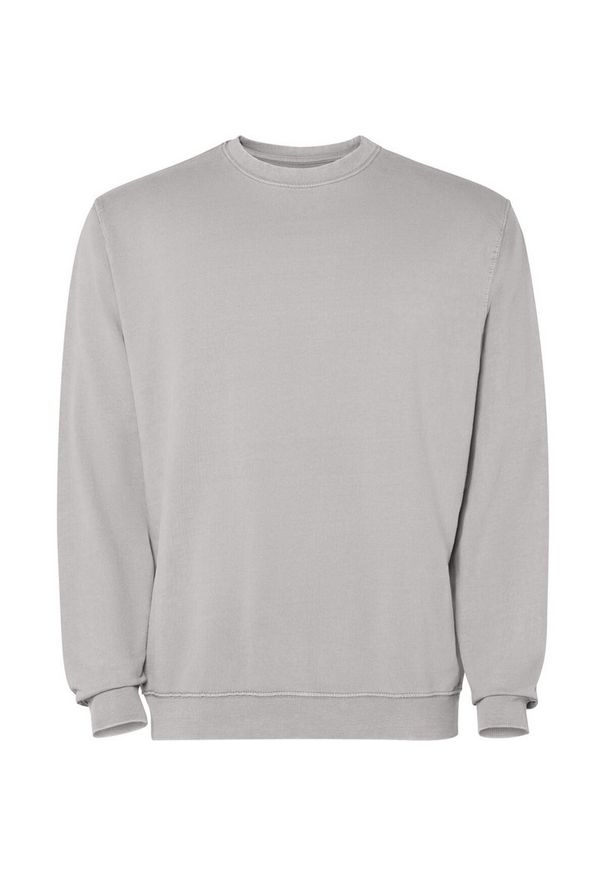 ROLY - Bluza Unisex Dla Dorosłych Jaya Z Okrągłym Dekoltem. Kolor: szary