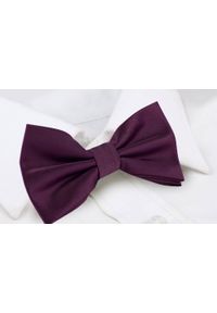 Mucha Męska w Zestawie z Poszetką - Alties - Burgundowa. Kolor: czerwony. Styl: elegancki, sportowy #5