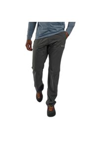 Spodnie trekkingowe męskie Montane Terra Lite Pants. Kolor: szary. Sport: turystyka piesza