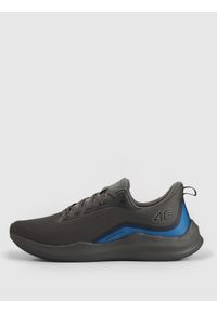4f - 4F Buty treningowe STEP CONTROL 1.0 męskie - szare 45. Okazja: na co dzień, na spacer. Kolor: szary. Materiał: guma. Szerokość cholewki: normalna. Sport: turystyka piesza #1